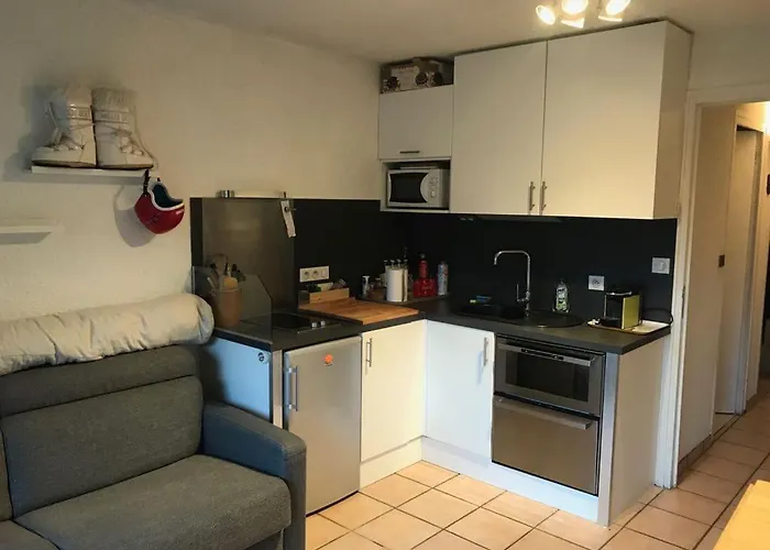 Apartament Au Coeur Des 2 Alpes, Avec Tres Belle Terrasse